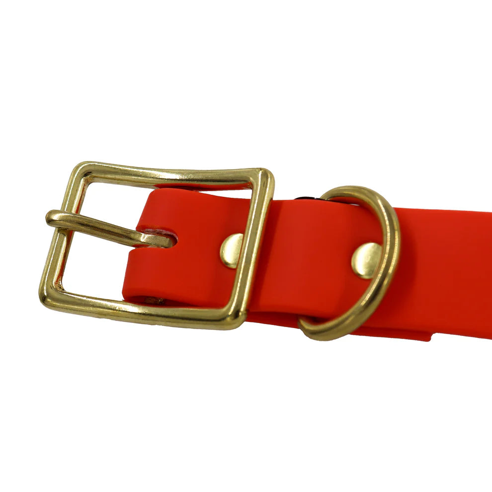 Orange Biothane Dog Collar