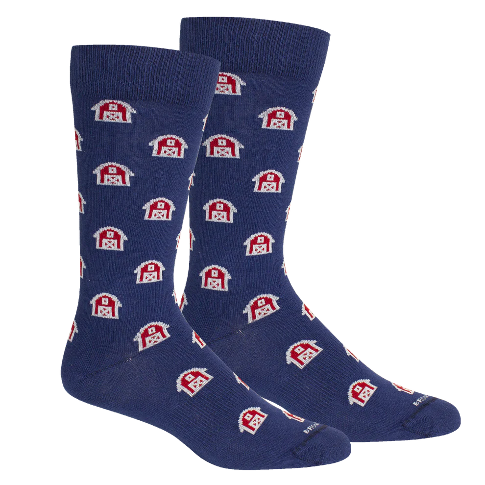 Barn Socks- Blue