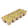 Firestarter Pods- Citronella