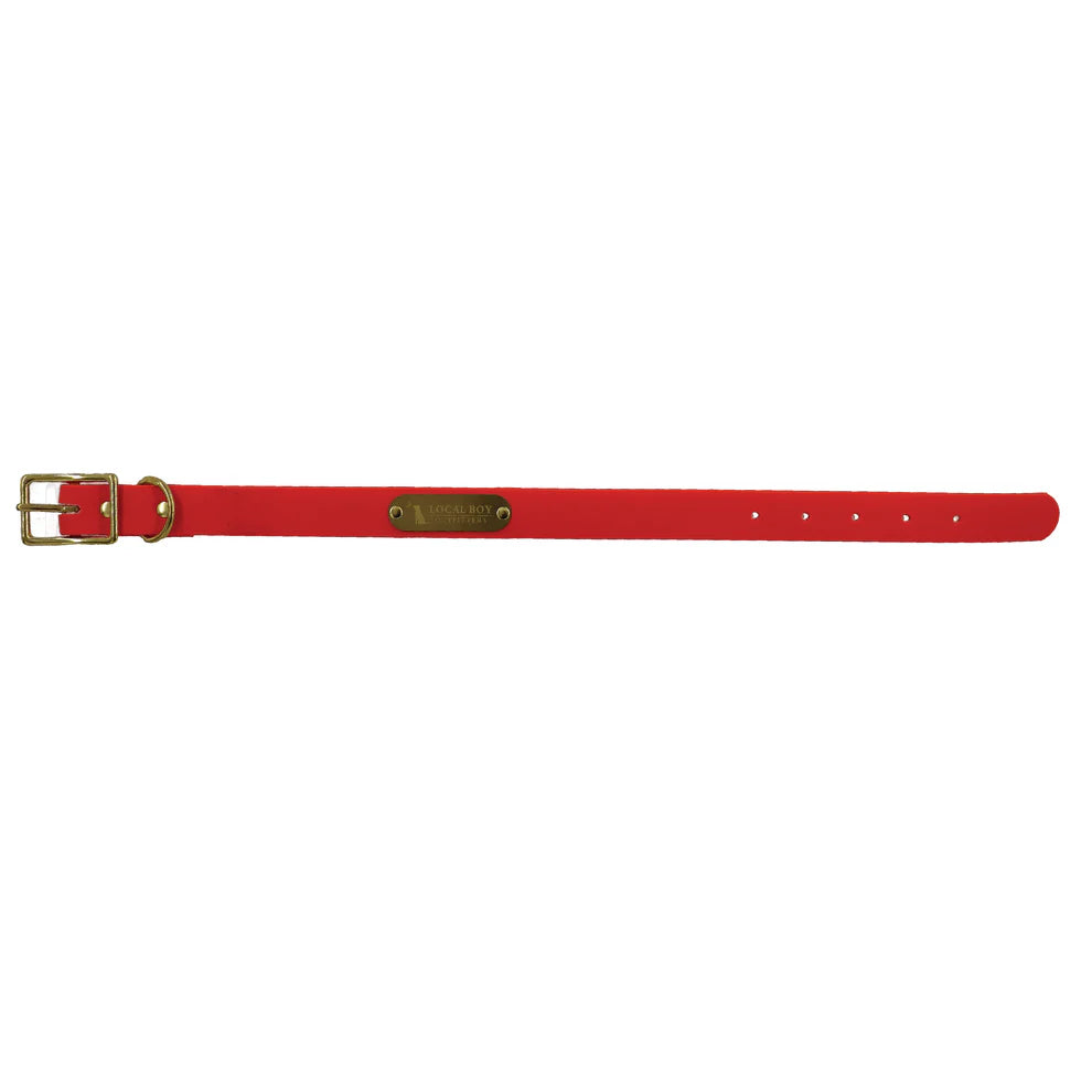 Orange Biothane Dog Collar